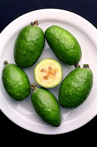   Feijoa