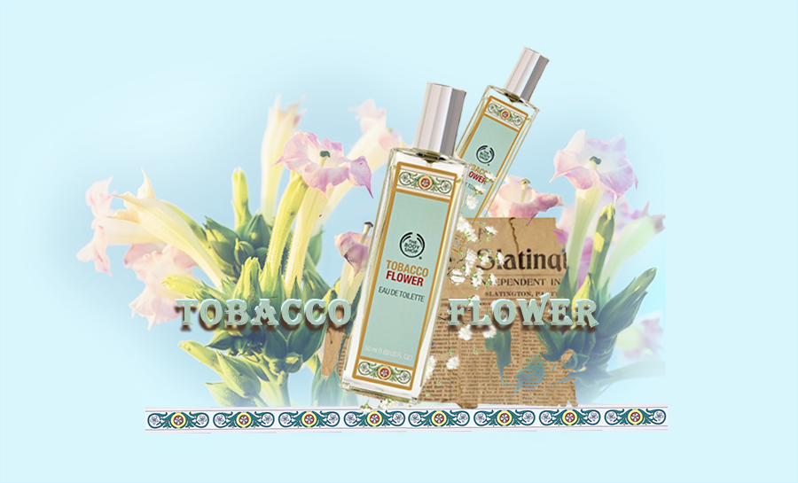   Tobacco Flower