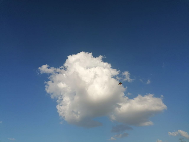 ������ ����� �����/ �����