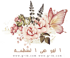    Butterfly Effect