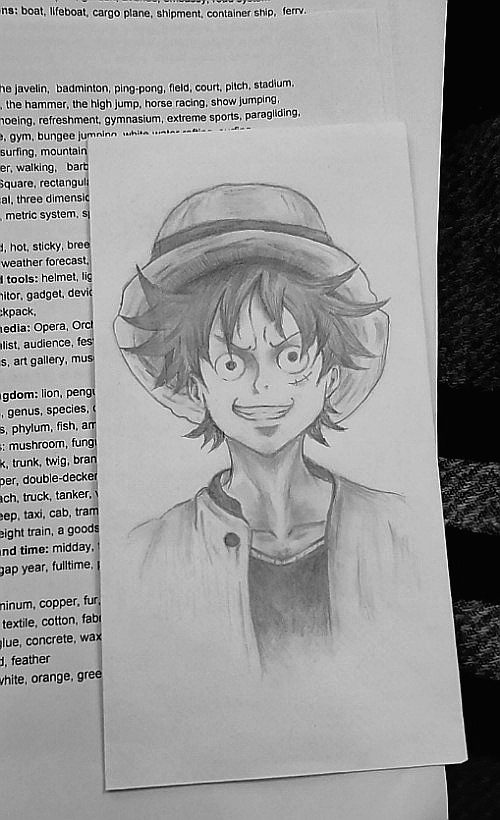 piece Luffy