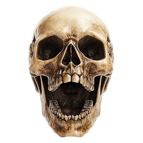 Fire skull 