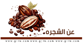 Theobroma cacao 
