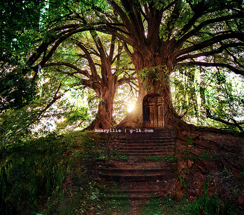 Tree Door