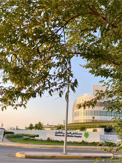 ��������� ������� " Hospital