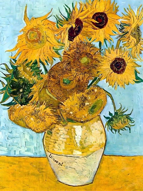 ����� ���� ���� ����� (Helianthus