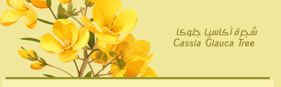 ���� ������ ����� ������� Cassia