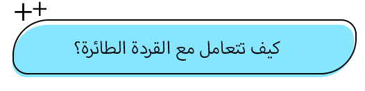 القِردة الطائرة