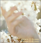 MMS ~